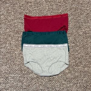 NWOT Cacique women’s full brief